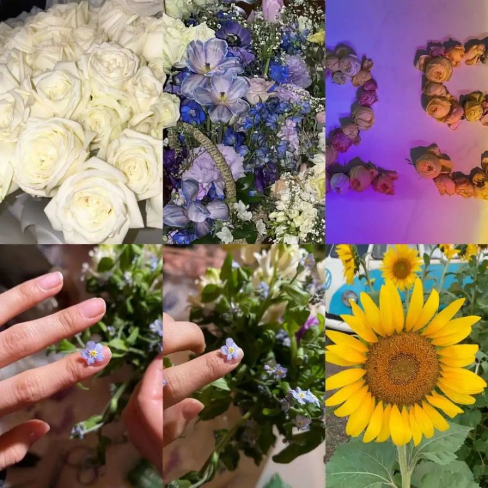 朴彩英与花 喜欢晒花的女明星 不愧是花朵人朴彩英 人和花一样美好