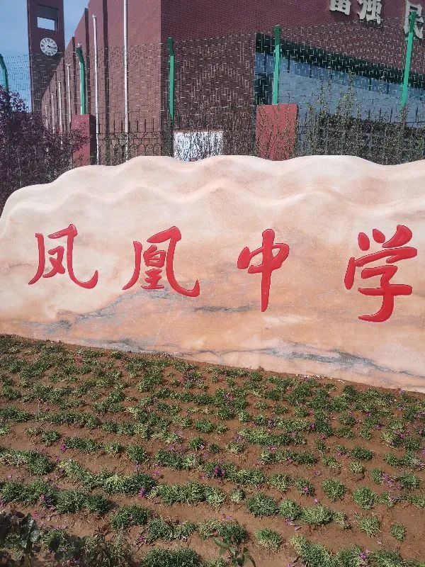 来看看唐山凤凰中学都包括哪些小区?这些小区你看好哪个呢?_腾讯网