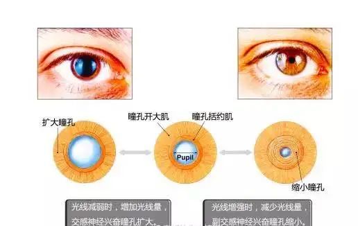 影响近视防控效果的主要因素!近视防控你做对了吗?