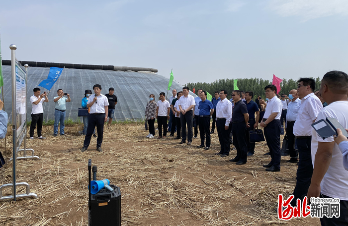 邯郸市肥乡区农业农村局副局长王振民介绍滴灌节水技术应用情况.