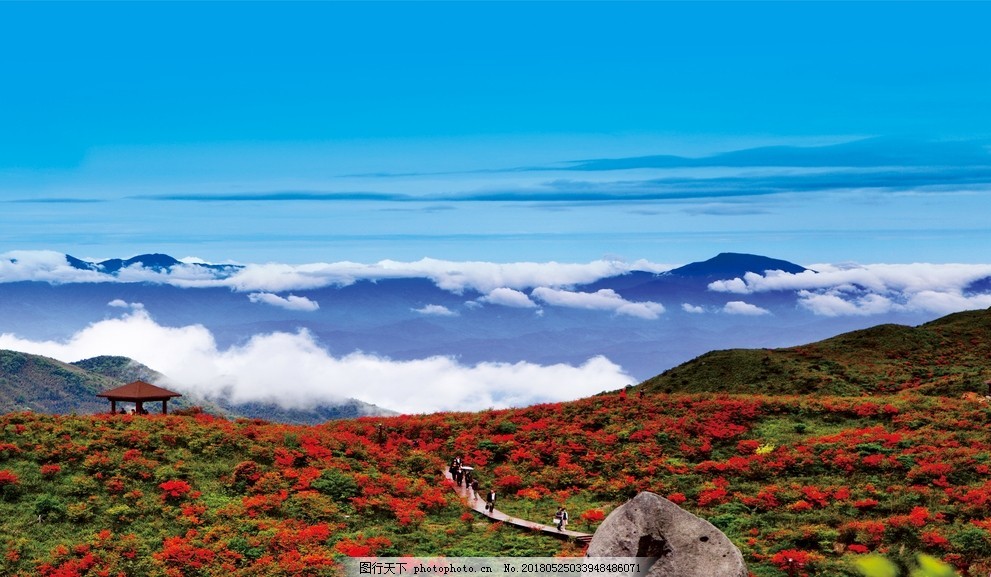 浏阳大围山国家森林公园