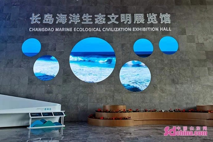 长岛海洋生态文明展览馆:立体呈现海岛型地区生态建设的"长岛样板"