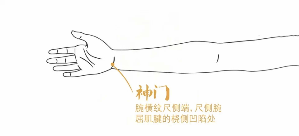 神门穴是手少阴心经的穴位之一,位于腕部,腕掌侧横纹尺侧端,尺侧腕屈