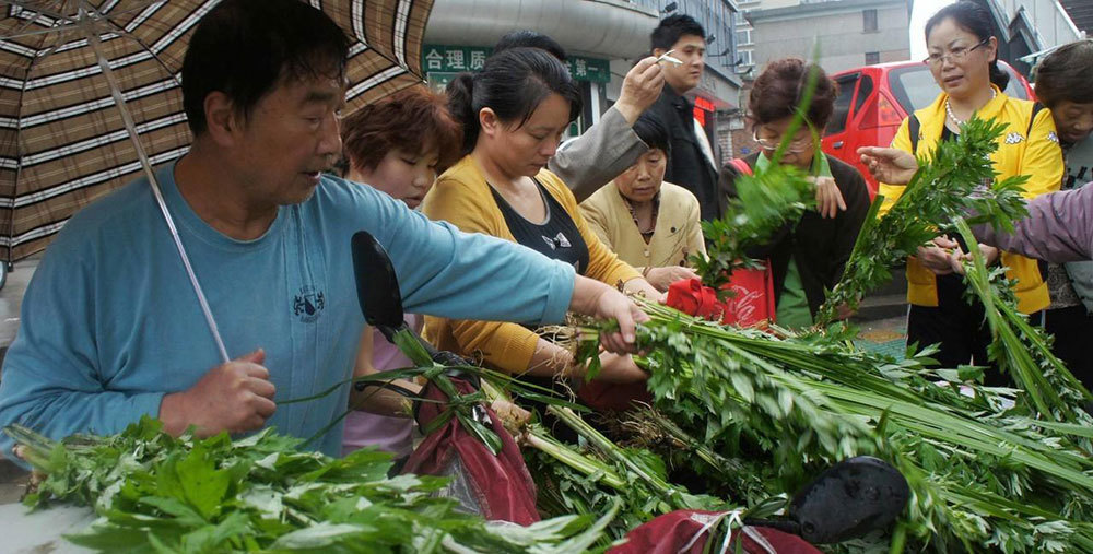 端午节传统挂艾草,讲究"1个吉时,3不挂,寓意家人平安顺利