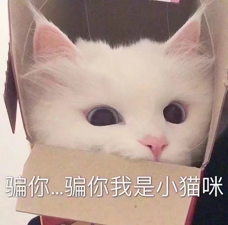 小仙女专用表情包一定要可爱
