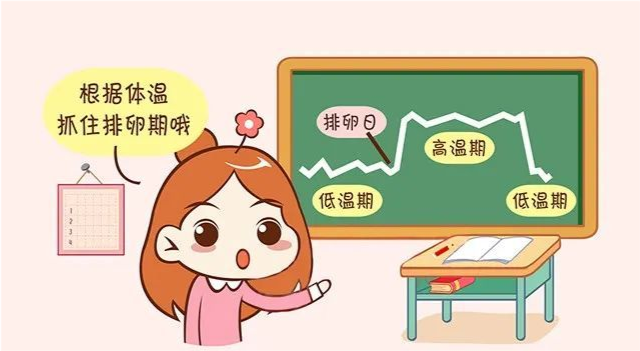 兰州天伦医院医生分析月经走后多久进入排卵期排卵期又有哪些信号
