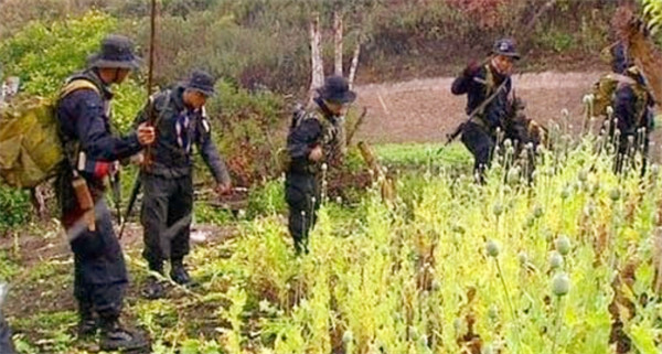 湄公河惨案:那9名泰国军人是怎样的结局?