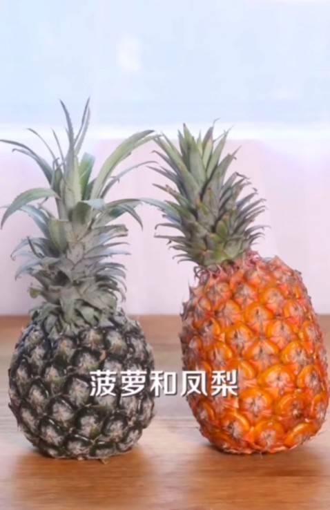 凤梨和菠萝有什么区别?看好这3点,买的时候不会被忽悠踩坑