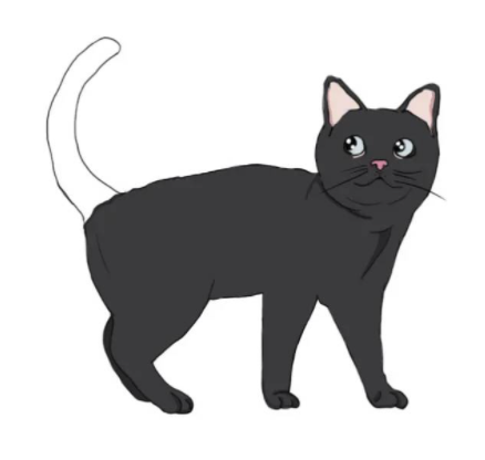 黑猫只有尾巴尖尖是白的,叫 墨玉垂珠