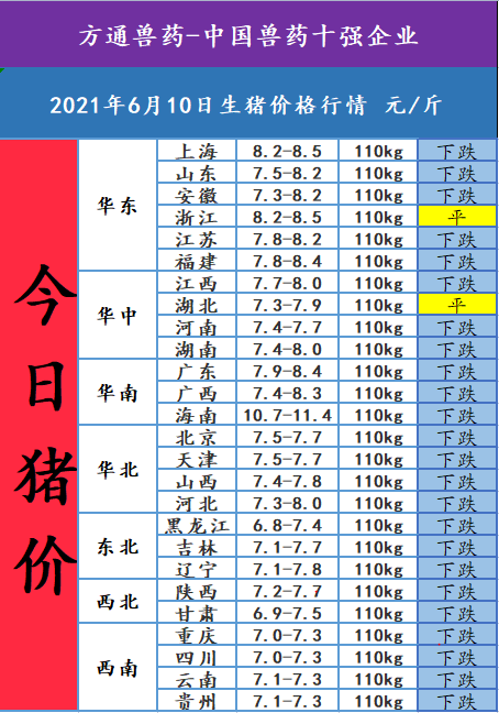 2021年6月10日,今日猪价