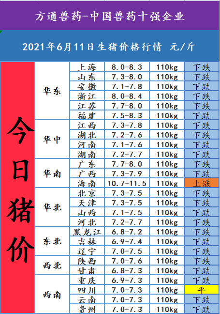 2021年6月11日,今日猪价