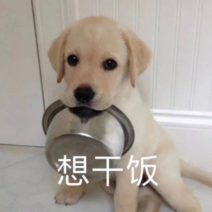 表情包:想干饭