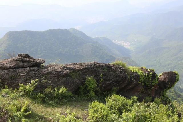 也是南康区境内第一高峰 白鹤岭犹如一道天然屏障 守护着邹家地这块