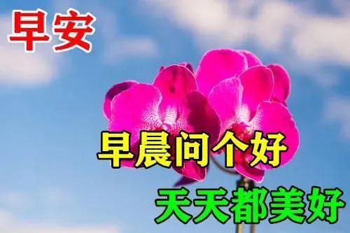 6月19日周六发朋友圈早安祝福语