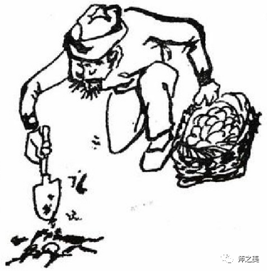 漫画《种瓜得瓜,种豆得豆,种蛋得(下图)讽刺了一些人想问题