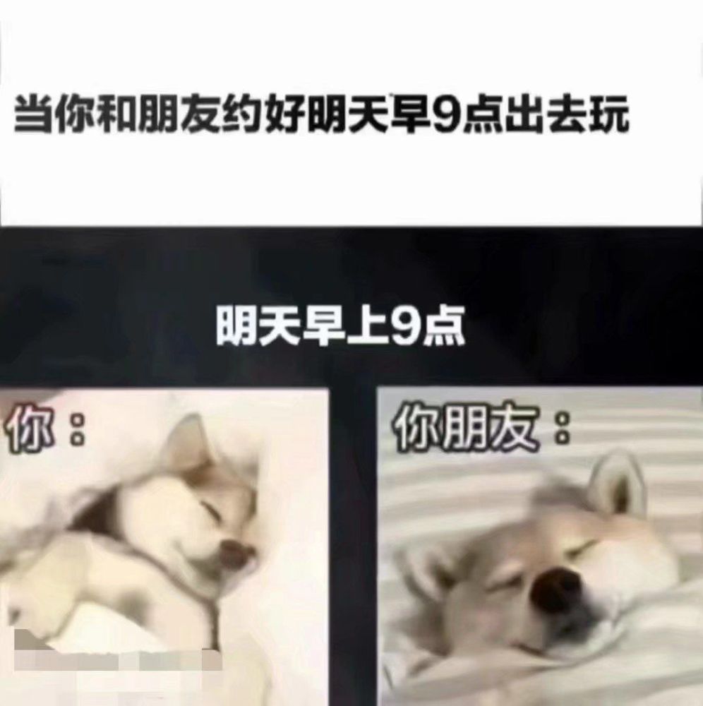 内容过于真实的沙雕趣图|网友:请把安在我身上的监控拆掉