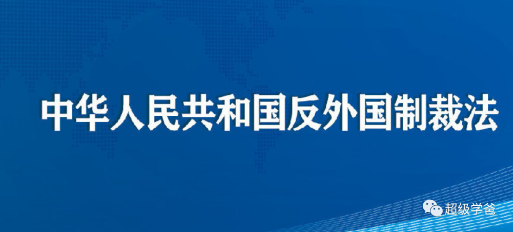 第一条为了维护国家主权,安全,发展利益,保护我国公民,组织的合法权益