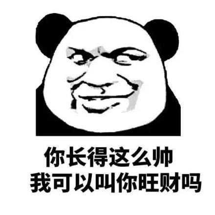 熊猫表情包:我可以叫你旺财吗