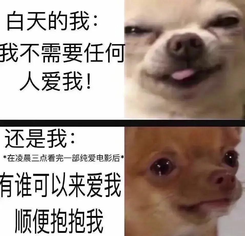 过于真实的梗图合集