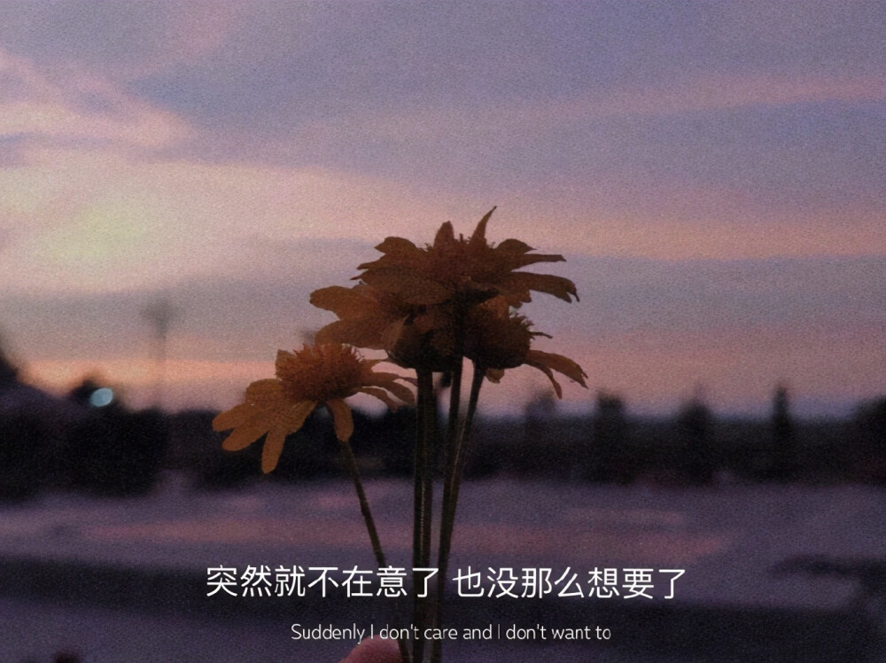 突然就不在意了,也没那么想要了