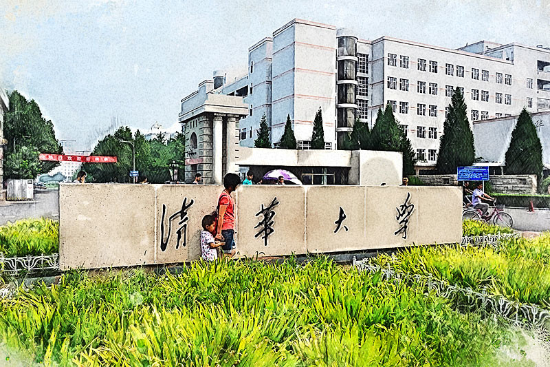 人均凡尔赛_凡尔赛玫瑰(2)
