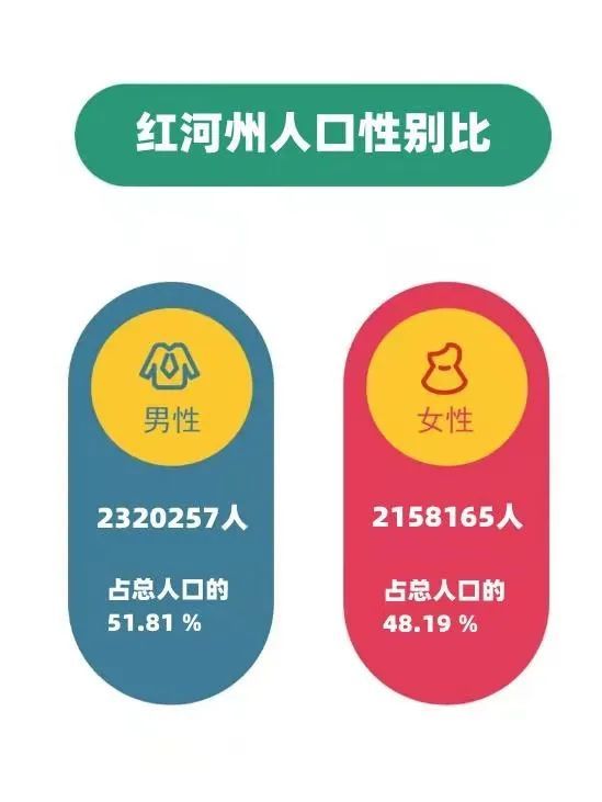 红河人口_红河县第七次全国人口普查自主填报工作有序推进