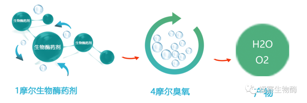 会员动态臭氧污染治理成十四五焦点福赛生物酶技术大放异彩