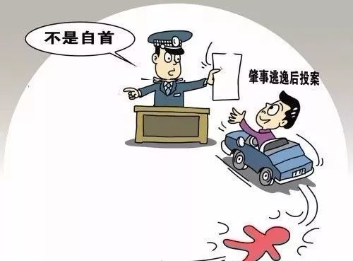 南京一女子撞人后将其送往医院最后仍被认定为肇事逃逸