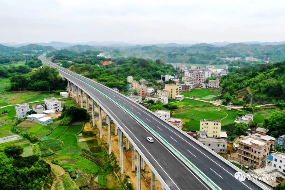 云茂高速公路正式通车,高州正式步入"三高速"发展时代!