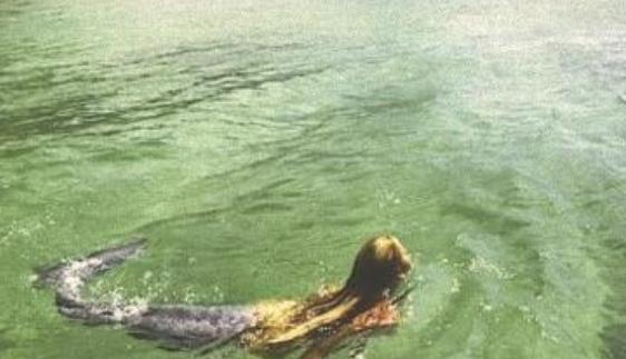 世上有美人鱼吗?1975年,那场搜捕从海里捞出来的奇特生物是什么