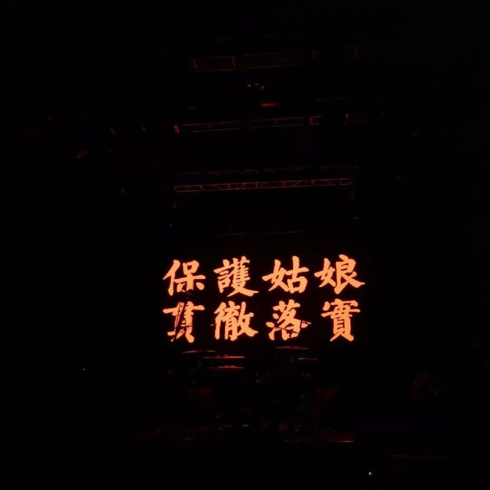 关于追星的文案
