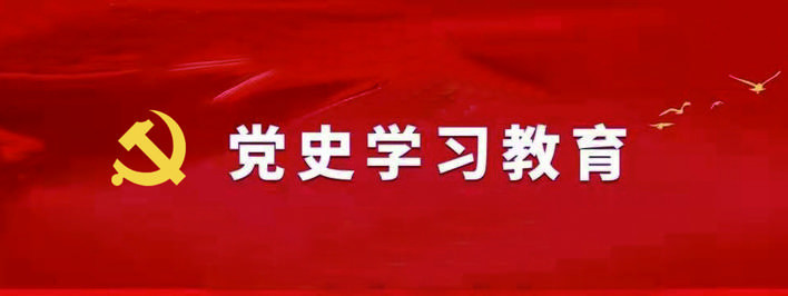 督学并进破浪行——市委党史学习教育第一轮巡回指导工作综述