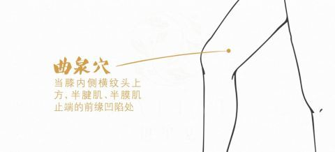 肝不好,未老先倒!快收藏这养肝护肝的方法