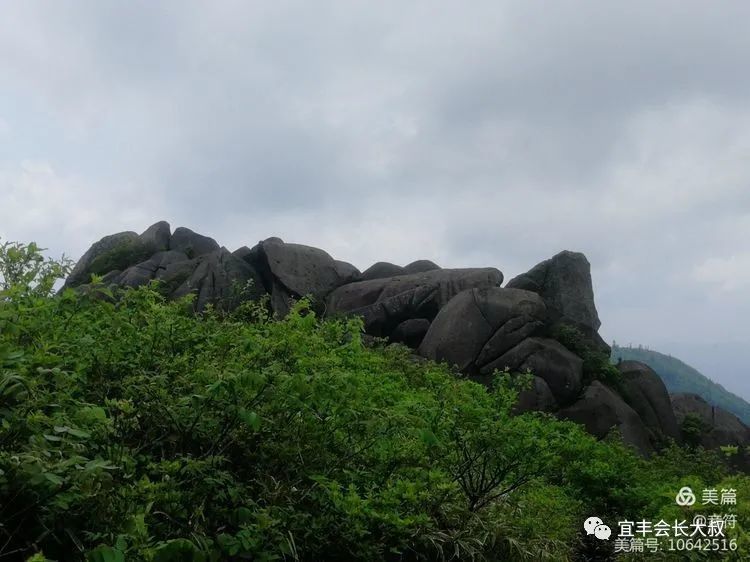 宜丰官山一日游