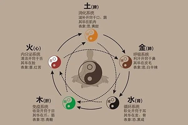 五味中药,补阴阳,调气血.有百补之功