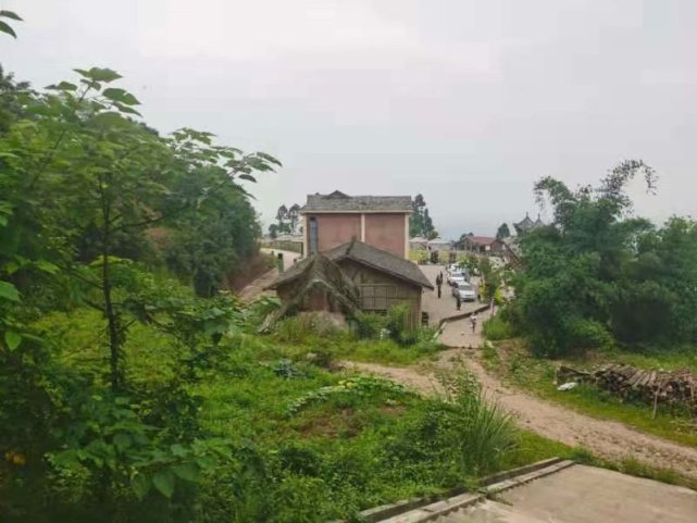 走进重庆(潼南区与合川区境内)龙多山分享鸟语花香