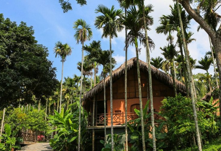 海南旅游景点推荐,三亚槟榔谷#低音号语音导游