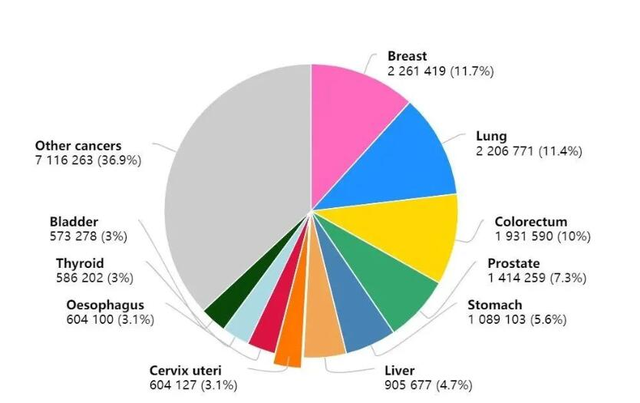 2019国内癌症人口数量_癌症晚期图片(3)