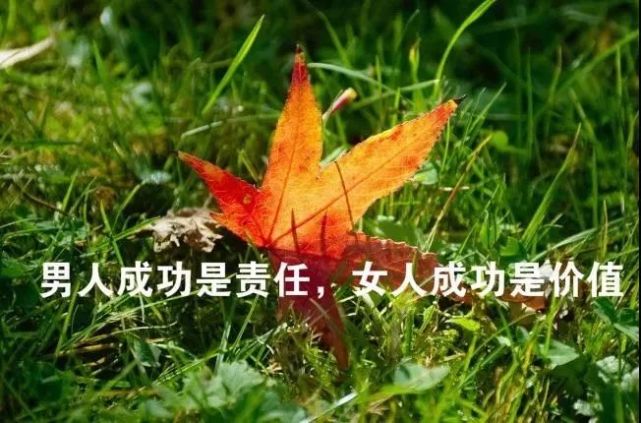有冲劲的正能量句子:致拼搏路上的自己