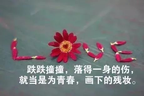 �г徢������������,Ψ����ǿ��־�ľ���