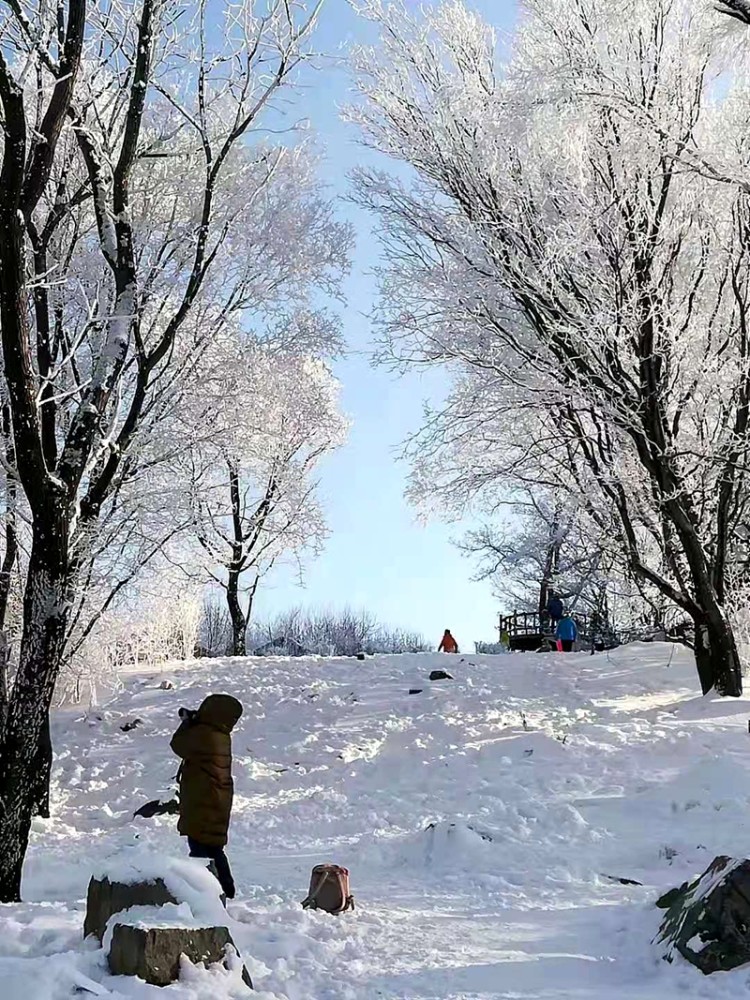 东北冰雪游之十四:雾凇岛是松花江上的一座小岛