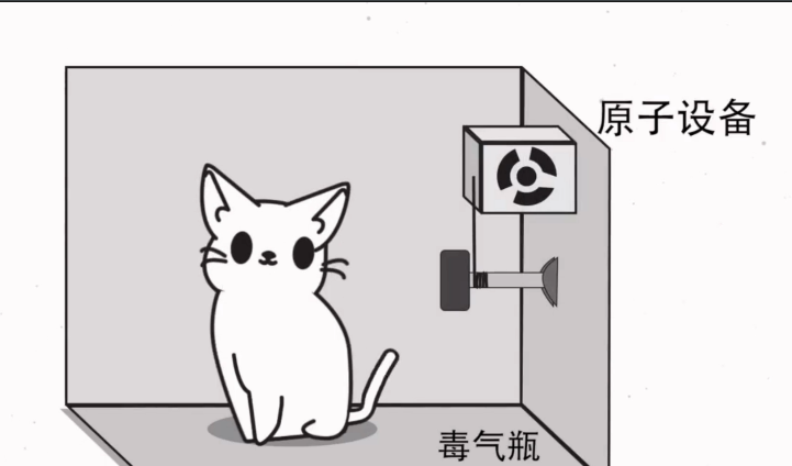 "薛定谔的猫"中究竟蕴含着怎样的秘密?