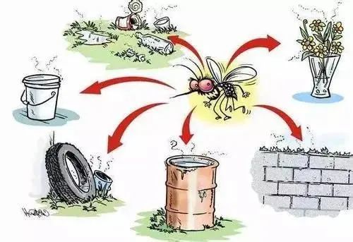 云南省疾控中心预防夏季传染病风险提示之三常见虫媒传染病