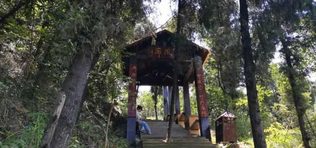 重庆南温泉游记