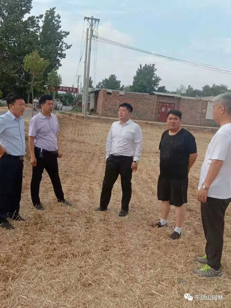 【园林动态】市园林绿化园林中心武端同志到鲁山县张官营镇检查指导