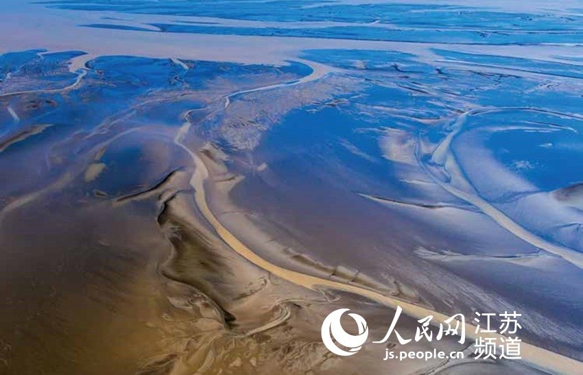 走进盐城黄海湿地 领略大美江苏滩涂风采