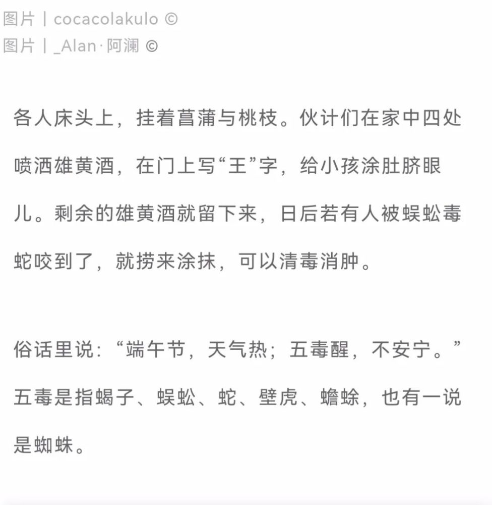 白芷简谱_中药白芷图片(2)
