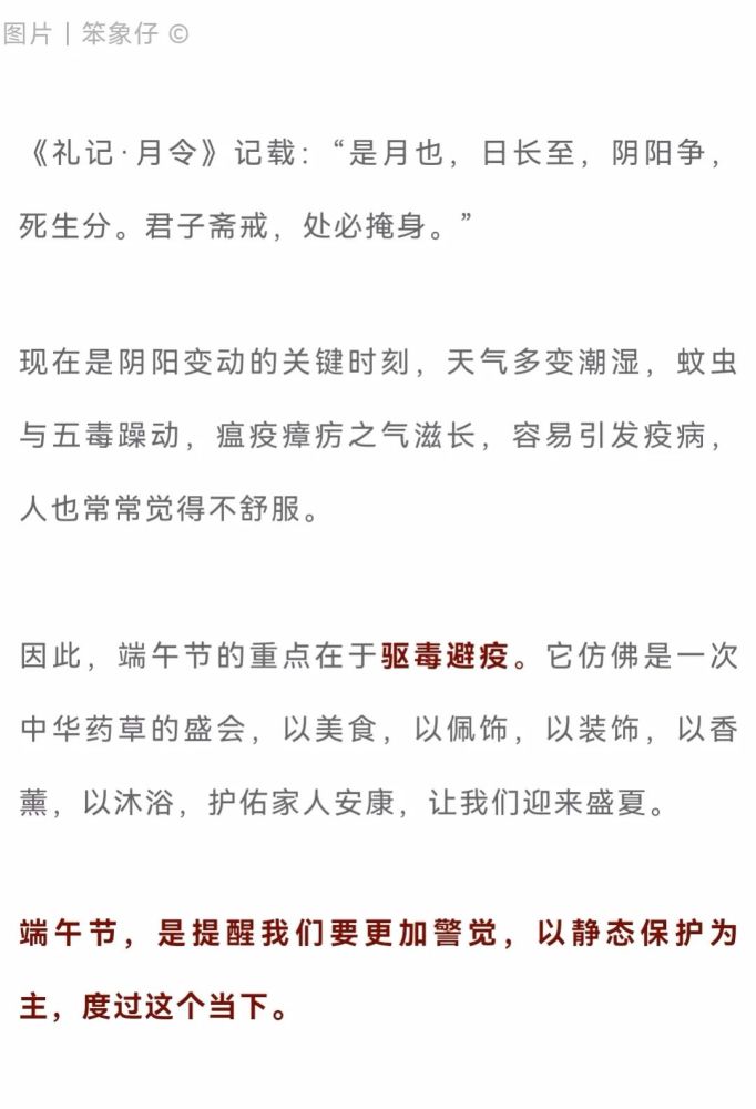 白芷简谱_中药白芷图片(3)