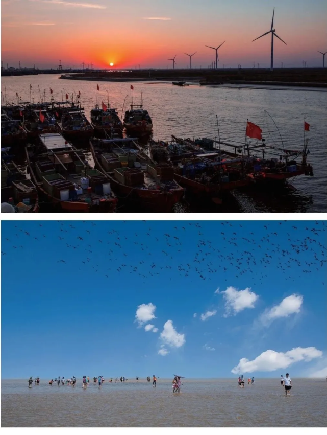 不想跑太远?潍坊这些说走就走的地方,3天时间刚刚好