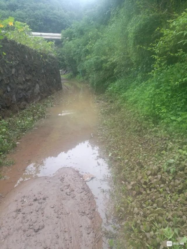 108社区网友发帖: 昨天的大雨谷来镇城后村发大水,轿车也冲走了.